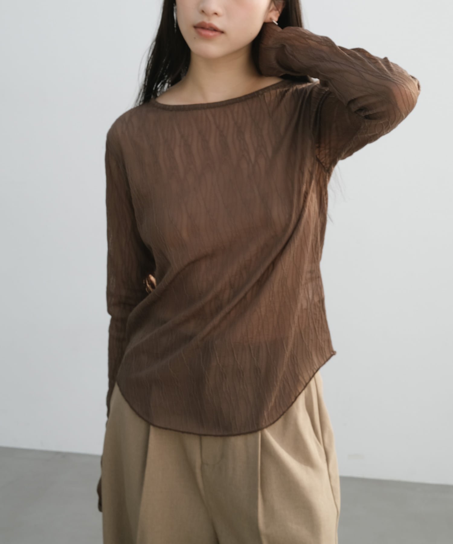 【アンドミー/andme】の【選べるネックデザイン】ウェーブ チュール シアー 長袖 トップス インテリア・キッズ・メンズ・レディースファッション・服の通販 founy(ファニー) 　ファッション　Fashion　レディースファッション　Fashion for Women　トップス・カットソー　Cut & Sew Tops　ウェーブ　Wavy Pattern　シアー　Sheer, See-Through　シンプル　Simple, Minimal　チュール　Tulip, Tulip Motif　長袖　Long Sleeve, Full Sleeve　おすすめ　Recommended / Our Picks　ブラウン【A】|ID: prp329100004865559 ipo3291000000036215830