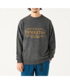 【ビーミングライフストアバイビームス/B:MING LIFE STORE by BEAMS】の【別注】PENDLETON / ロゴ クルーネック ニット 人気、トレンドファッション・服の通販 founy(ファニー) ファッション Fashion レディースファッション Fashion for Women トップス・カットソー Cut & Sew Tops ニット Knit Tops & Sweaters イエロー Yellow ネップ Nepp, Slub Yarn パターン Pattern, Design Print フロント Front, Front Design プリント Print, Printed Pattern 別注 Limited Edition, Custom Order thumbnail BLACK|ID: prp329100004869515 ipo3291000000036291779