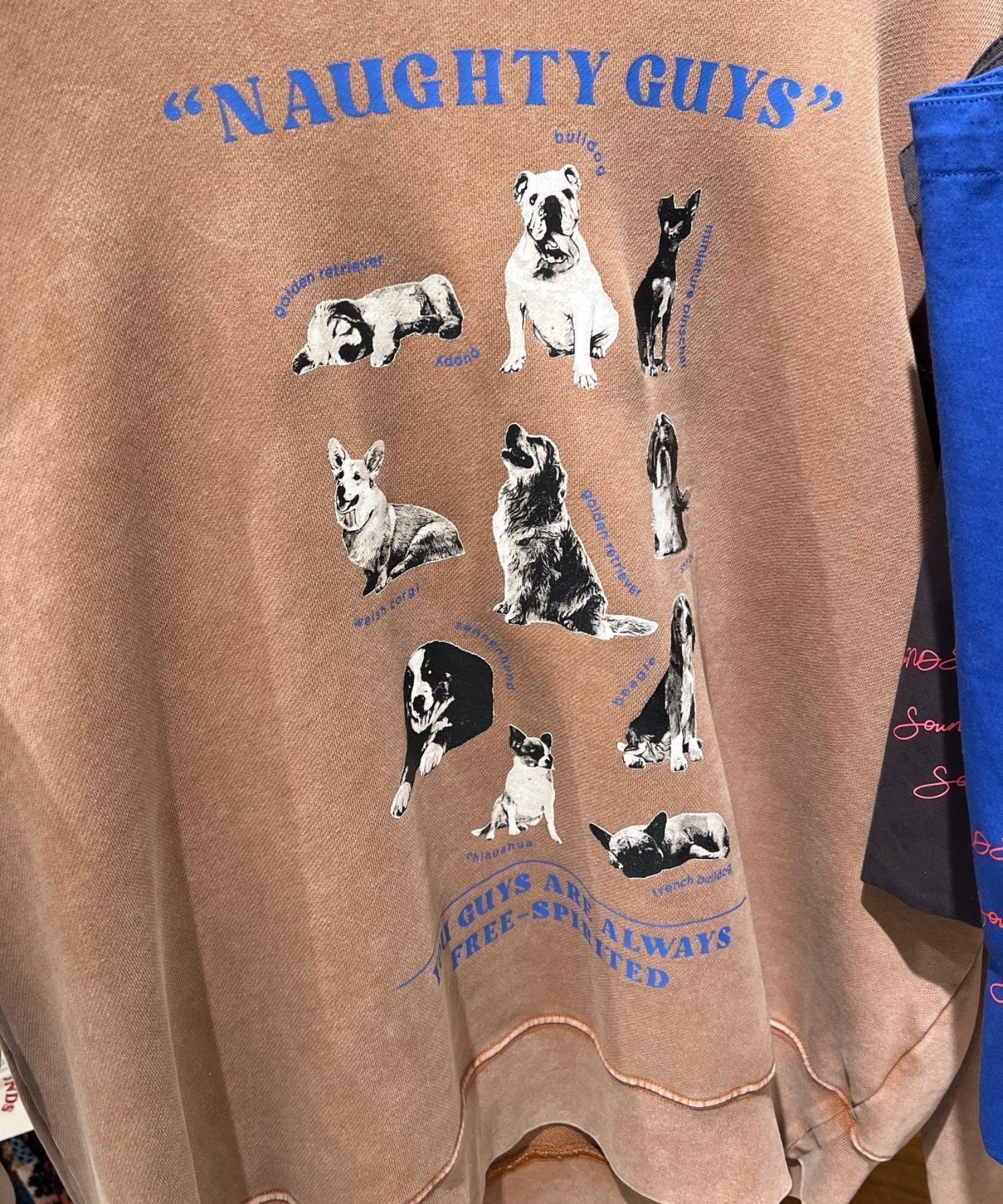 【チャオパニックティピー/CIAOPANIC TYPY】の【SOUNDS GOOOOD】プリント刺繍ヴィンテージスウェット インテリア・キッズ・メンズ・レディースファッション・服の通販 founy(ファニー) 　ファッション　Fashion　レディースファッション　Fashion for Women　トップス・カットソー　Cut & Sew Tops　レディースパーカー・カジュアルフーディー　Casual Hoodies & Sweatshirts　スウェット・クルーネックトップス　Sweatshirts & Crewnecks / Relaxed Fit Sweat Tops　インナー　Innerwear　ヴィンテージ　Vintage Style　ジャケット　Jacket, Outerwear　スウェット / スエット　Sweatshirt, Sweatwear　スタイリッシュ　Stylish, Fashionable　スラックス　Slacks, Dress Pants　ダウン　Down, Puffer　デニム　Denim, Jeans Material　ブルゾン　Blouson, Bomber Jacket　プリント　Print, Printed Pattern　冬　Winter / This Winter　おすすめ　Recommended / Our Picks　ベージュその他1|ID: prp329100004869559 ipo3291000000036292912