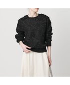 【ユナイテッドアローズ/UNITED ARROWS】のエンブロイダリーフラワー メッシュ ニット 人気、トレンドファッション・服の通販 founy(ファニー) ファッション Fashion レディースファッション Fashion for Women トップス・カットソー Cut & Sew Tops ニット Knit Tops & Sweaters コンパクト Compact, Small Size シンプル Simple, Minimal ストレート Straight, Straight Cut フェミニン Feminine, Girly ベスト Vest, Waistcoat メッシュ Mesh, Net Fabric ワイド Wide, Wide Fit エレガント 上品 Elegant thumbnail BLACK|ID: prp329100004875470 ipo3291000000036365228