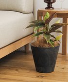 【アーバンリサーチ ドアーズ/URBAN RESEARCH DOORS】のamabro ART STONE S BK 人気、トレンドファッション・服の通販 founy(ファニー) ファッション Fashion レディースファッション Fashion for Women ストーン Stone, Gem-Like パウダー Powder, Soft Tone 軽量 Lightweight, Ultra Light thumbnail ブラック|ID: prp329100004883490 ipo3291000000036454086