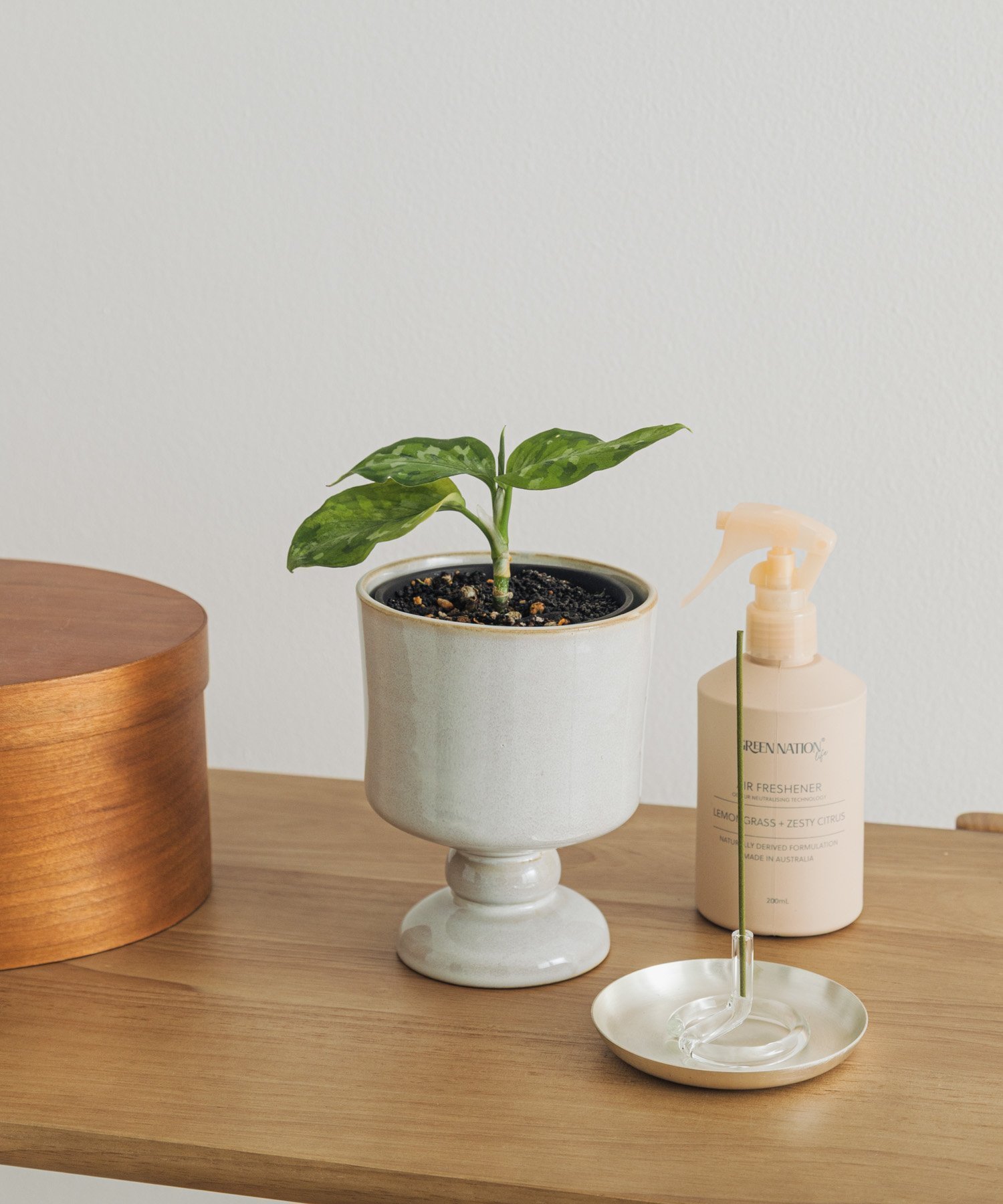 【アーバンリサーチ ドアーズ/URBAN RESEARCH DOORS】のCreer シナリースタンドポット IV インテリア・キッズ・メンズ・レディースファッション・服の通販 founy(ファニー) 　ファッション　Fashion　レディースファッション　Fashion for Women　おすすめ　Recommended / Our Picks　シンプル　Simple, Minimal　スタンド　Stand Collar, Upright Stand　デスク　Desk, Work Desk　モチーフ　Motif, Design Theme　エレガント 上品　Elegant　アイボリー|ID: prp329100004893791 ipo3291000000036581413