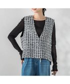 【ドロワット ロートレアモン/Droite Lautreamont】のミックスツィードベスト≪洗濯機で洗える≫ 人気、トレンドファッション・服の通販 founy(ファニー) ファッション Fashion レディースファッション Fashion for Women アウター Coat / Outerwear Collection トップス・カットソー Cut & Sew Tops ベスト&ジレ / 重ね着スタイル Vests & Gilets インナー Innerwear 春 Spring 洗える Machine Washable サテン Satin, Glossy Fabric ショート Short, Short Length ツイード／ツィード Choker, Choker Necklace トレンド Trend, Trending Now ノースリーブ Sleeveless, No-Sleeve フェミニン Feminine, Girly フォーマル Formal, Dressy ベスト Vest, Waistcoat 無地 Plain, Solid Color 冬 Winter / This Winter S/S・春夏 SS, Spring/Summer, Warm Season 夏 Summer 2026年 2026 thumbnail ブラック|ID: prp329100004898544 ipo3291000000036647456