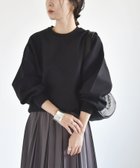 【シップス フォー ウィメン/SHIPS】のquaranciel 洗濯機可能 ポンチ ベーシック コンパクト スウェット 人気、トレンドファッション・服の通販 founy(ファニー) ファッション Fashion レディースファッション Fashion for Women トップス・カットソー Cut & Sew Tops レディースパーカー・カジュアルフーディー Casual Hoodies & Sweatshirts スウェット・クルーネックトップス Sweatshirts & Crewnecks / Relaxed Fit Sweat Tops アクセサリー Fashion Accessories 洗える Machine Washable コンパクト Compact, Small Size シンプル Simple, Minimal スウェット / スエット Sweatshirt, Sweatwear スラックス Slacks, Dress Pants デニム Denim, Jeans Material ベーシック Basic, Essential ボトム Bottoms, Lower Wear モダン Modern, Contemporary ルーズ Loose, Oversized おすすめ Recommended / Our Picks 2025年 2025 2025-2026秋冬・A/W Autumn/Winter 2025–26 AW25–26 2026年 2026 thumbnail ブラック|ID: prp329100004900403 ipo3291000000036666536