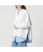 【ユナイテッドアローズ/UNITED ARROWS】のスウェットライク スキッパーニット -ウォッシャブル- 人気、トレンドファッション・服の通販 founy(ファニー) ファッション Fashion レディースファッション Fashion for Women トップス・カットソー Cut & Sew Tops ニット Knit Tops & Sweaters レディースパーカー・カジュアルフーディー Casual Hoodies & Sweatshirts スウェット・クルーネックトップス Sweatshirts & Crewnecks / Relaxed Fit Sweat Tops ウォッシャブル Machine Washable スキッパー Skipper, Open Collar ロング Long, Long-Length おすすめ Recommended / Our Picks エレガント 上品 Elegant thumbnail WHITE|ID: prp329100004903918 ipo3291000000036705096