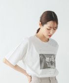 【グローバルワーク/GLOBAL WORK】のリッチクリーンプリントT半袖/636780 人気、トレンドファッション・服の通販 founy(ファニー) ファッション Fashion レディースファッション Fashion for Women トップス・カットソー Cut & Sew Tops アニマル Animal Print インナー Innerwear 抗菌 Antibacterial, Bacteria-Resistant シルク Silk, 100% Silk デニム Denim, Jeans Material 人気 Popular, Best Seller フェミニン Feminine, Girly ボックス Boxy, Box Shape 半袖 Short Sleeve, Half Sleeve ワイド Wide, Wide Fit おすすめ Recommended / Our Picks 夏 Summer ビジネス 仕事 通勤 Business / Work / Commuting thumbnail オフ×フォト04|ID: prp329100004933346 ipo3291000000037029079