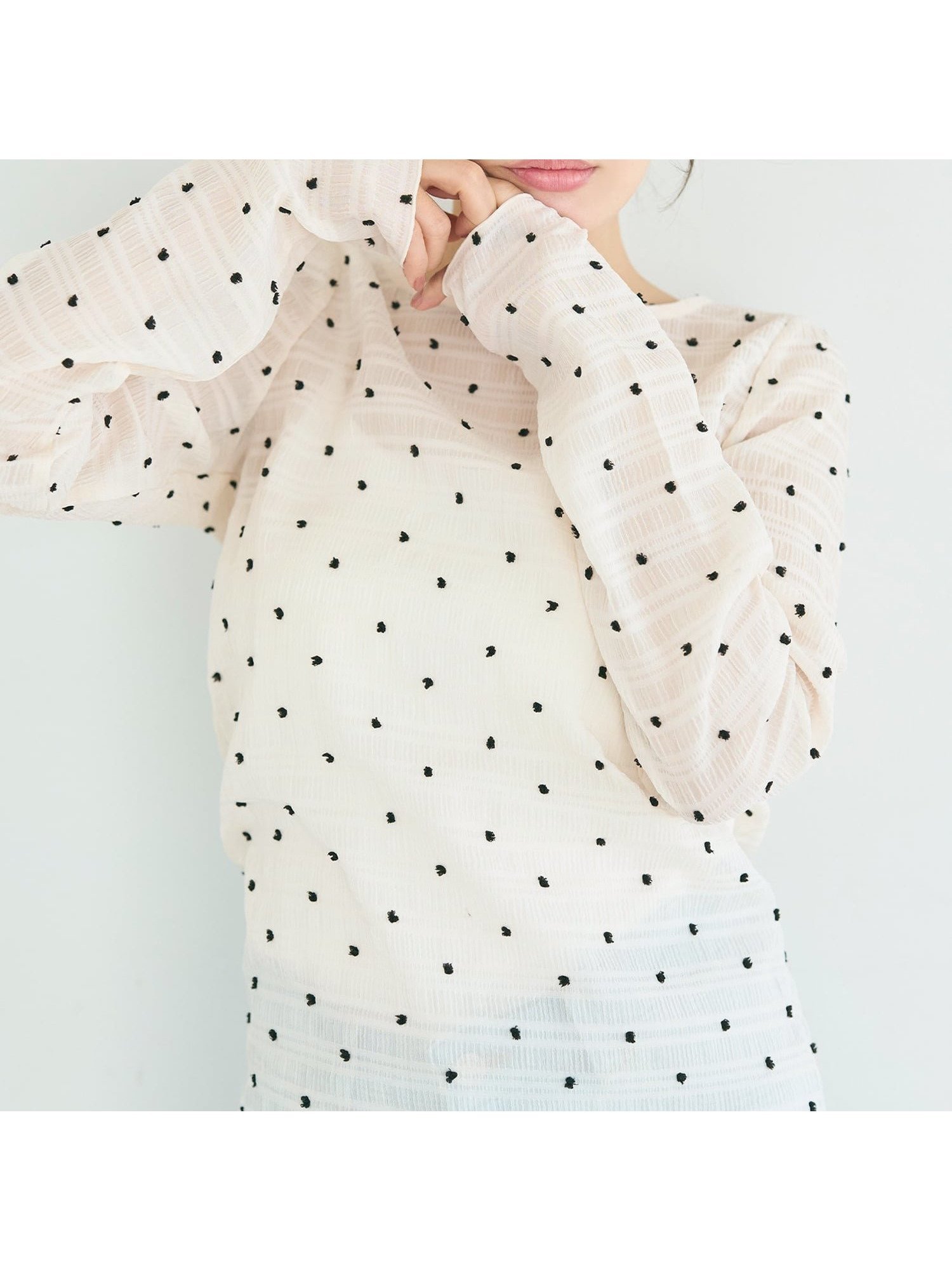 【コカ/COCA】の【WEB限定カラーあり】シースルードットトップス インテリア・キッズ・メンズ・レディースファッション・服の通販 founy(ファニー) 　ファッション　Fashion　レディースファッション　Fashion for Women　トップス・カットソー　Cut & Sew Tops　春　Spring　キャミソール　Camisole, Spaghetti Strap Top　軽量　Lightweight, Ultra Light　シアー　Sheer, See-Through　スラックス　Slacks, Dress Pants　タンク　Tank Top, Sleeveless Top　デコルテ　Décolleté, Neckline　デニム　Denim, Jeans Material　トレンド　Trend, Trending Now　ドット　Polka Dot, Dot Pattern　長袖　Long Sleeve, Full Sleeve　フィット　Fit, Slim Fit　フェミニン　Feminine, Girly　ポケット　Pocket, Pocket Detail　メッシュ　Mesh, Net Fabric　水玉　Polka Dot, Dot Pattern　おすすめ　Recommended / Our Picks　夏　Summer　エレガント 上品　Elegant　2026年　2026　Ivory|ID: prp329100004933601 ipo3291000000037030550