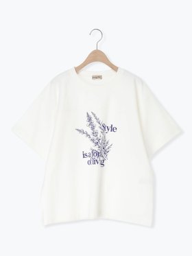【サマンサモスモス/Samansa Mos2】の【接触冷感】ミニ裏毛切替フラワープリントTシャツ 人気、トレンドファッション・服の通販 founy(ファニー) ファッション Fashion レディースファッション Fashion for Women トップス・カットソー Cut & Sew Tops シャツ・ブラウス・オフィスカジュアル Elegant Blouses & Button-Ups ロングTシャツ・Tシャツ Longline T-Shirts & Tees 花柄・フラワープリント・モチーフ Floral Prints & Motifs / Flower Pattern Tops フラワー Flower, Floral フロント Front, Front Design プリント Print, Printed Pattern エレガント 上品 Elegant 切替 Switching, Contrast Panel |ID:prp329100004933884