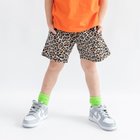 【ブランシェス/branshes / KIDS】の【WEB限定/DRC】カラバリカットハーフパンツ 人気、トレンドファッション・服の通販 founy(ファニー) ファッション Fashion キッズファッション Fashion for Kids ボトムス Bottoms ハーフ Half, Half-Length ボーイズ Boyish, Boy Style ポケット Pocket, Pocket Detail プチプライス・低価格 Affordable / Budget Price おすすめ Recommended / Our Picks thumbnail 92:茶_ヒョウ柄|ID: prp329100004936043 ipo3291000000037041030