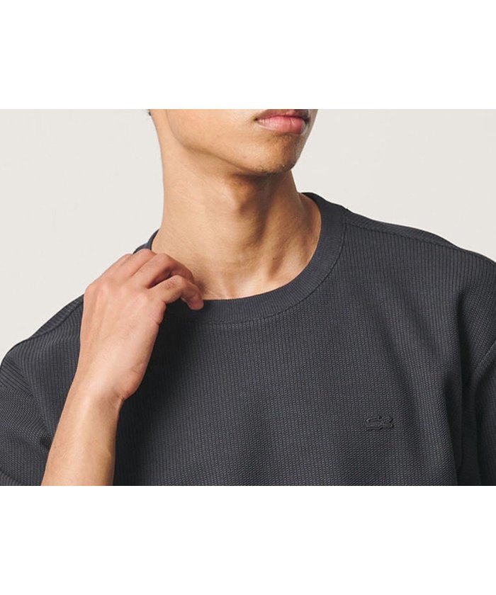 【ビューティ&ユース ユナイテッドアローズ/BEAUTY&YOUTH / UNITED ARROWS / MEN】のLACOSTE for BEAUTY YOUTH ワントーン ショートスリーブ Tシャツ インテリア・キッズ・メンズ・レディースファッション・服の通販 founy(ファウニー) https://founy.com/ ファッション Fashion メンズファッション Fashion for Men 鹿の子 Piqué, Kanoko Fabric ショート Short, Short Length スラックス Slacks, Dress Pants スリーブ Sleeve, Long Sleeve / Short Sleeve デニム Denim, Jeans Material バランス Balance, Style Balance フランス France, French ポロシャツ Polo Shirt, Collared Tee 別注 Limited Edition, Custom Order メンズ Men's, Menswear リラックス Relax, Relaxed Fit エレガント 上品 Elegant |ID: prp329100004936107 ipo3291000000037321138