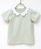 【パンパンテュテュ/panpantutu / KIDS】のエンジェルカラートップス(半袖) 人気、トレンドファッション・服の通販 founy(ファニー) ファッション Fashion キッズファッション Fashion for Kids トップス・カットソー Cut & Sew Tops ストレッチ Stretch, Stretchy Fabric 半袖 Short Sleeve, Half Sleeve thumbnail クリームミント|ID: prp329100004960863 ipo3291000000037220592