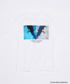 【ジャーナルスタンダード/JOURNAL STANDARD / MEN】の山下 達郎 / TATSURO YAMASHITA WINDY LADY プリント Tシャツ 人気、トレンドファッション・服の通販 founy(ファニー) ファッション Fashion メンズファッション Fashion for Men プリント Print, Printed Pattern レギュラー Regular, Standard Fit クリスマス X'mas Christmas / X'mas thumbnail ホワイト|ID: prp329100004963104 ipo3291000000037232222