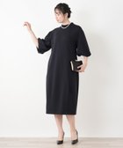 【レリアン/LEILIAN】の洗えるストレッチワンピース【2025AW_フォーマル】 大人の最旬トレンドファッション＆コーディネート founy(ファウニー) ファッション Fashion レディースファッション Fashion for Women ワンピース Dresses 2025年 2025 2025-2026秋冬・A/W Autumn/Winter 2025–26 AW25–26 ウォッシャブル Machine Washable ストレッチ Stretch, Stretchy Fabric スリーブ Sleeve, Long Sleeve / Short Sleeve フォーマル Formal, Dressy ポケット Pocket, Pocket Detail エレガント 上品 Elegant 洗える Machine Washable 秋 Autumn 軽量 Lightweight, Ultra Light thumbnail ブラック|ID: prp329100004971192 ipo3291000000037279669