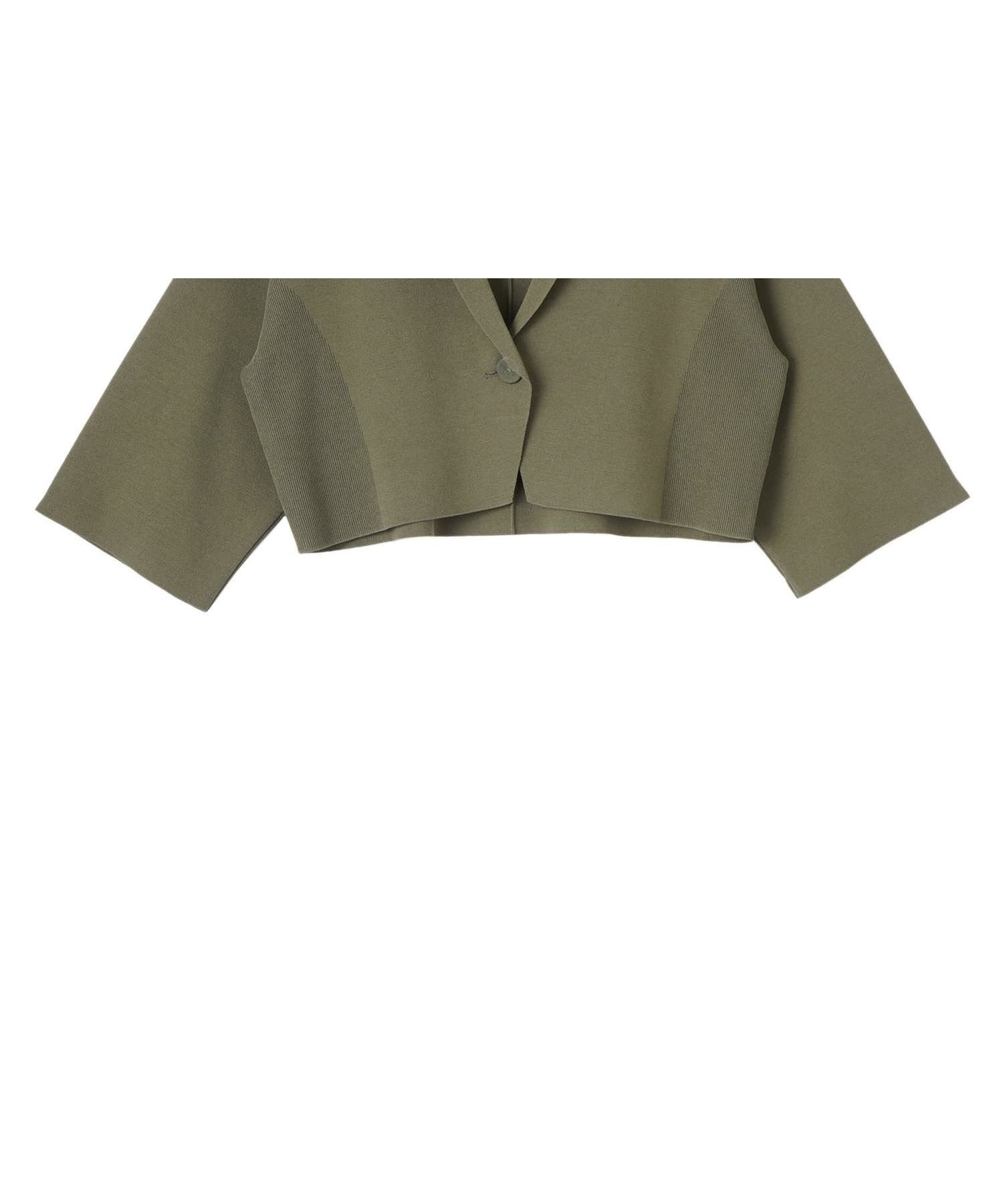【ランバンコレクション/LANVIN COLLECTION】のミラノリブニットジャケット インテリア・キッズ・メンズ・レディースファッション・服の通販 founy(ファウニー) 　ファッション　Fashion　レディースファッション　Fashion for Women　アウター　Coat / Outerwear Collection　レディースジャケット・軽アウター　Jackets　なめらか　Smooth, Silky Texture　カーディガン　Cardigan, Knitwear　ジャケット　Jacket, Outerwear　フロント　Front, Front Design　エレガント 上品　Elegant　カーキ|ID: prp329100004975232 ipo3291000000037296952