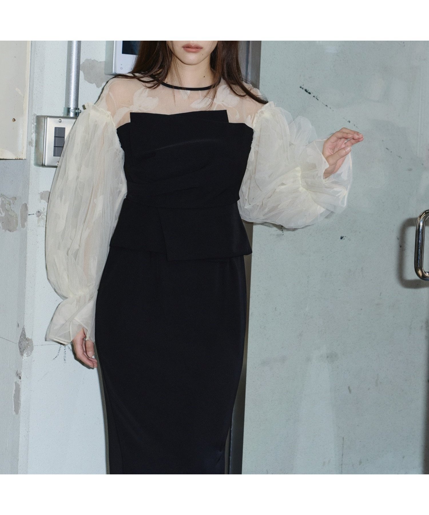【アンドレスド/ANDRESD】の結婚式・二次会対応 フロッキービスチェドレス インテリア・キッズ・メンズ・レディースファッション・服の通販 founy(ファウニー) 　ファッション　Fashion　レディースファッション　Fashion for Women　トップス・カットソー　Cut & Sew Tops　ビスチェ　Bustiers & Corset Tops / Layered Bustier Style　ワンピース　Dresses　フォーマル・パーティードレス・結婚式用ドレス　Elegant & Casual Dresses　チュール　Tulip, Tulip Motif　デコルテ　Décolleté, Neckline　ドレス　Dress, One-Piece　ドレープ　Drape, Draping Fabric　長袖　Long Sleeve, Full Sleeve　おすすめ　Recommended / Our Picks　エレガント 上品　Elegant　セレモニー　Ceremony　結婚式　Wedding　披露宴　Wedding Reception　二次会　After Party　ベージュブラック|ID: prp329100004975963 ipo3291000000037300031