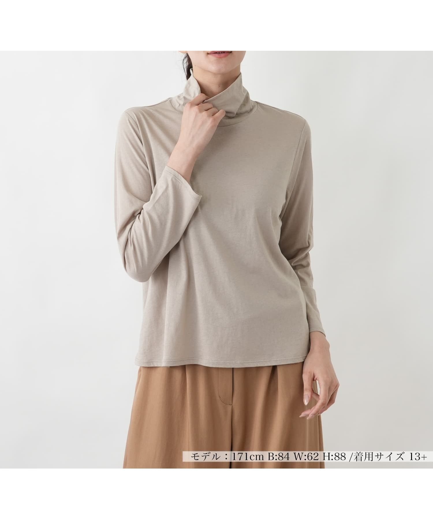 【レリアンプラスハウス/Leilian PLUS HOUSE】のタートルネックプルオーバー【SORAGE】 インテリア・キッズ・メンズ・レディースファッション・服の通販 founy(ファウニー) 　ファッション　Fashion　レディースファッション　Fashion for Women　トップス・カットソー　Cut & Sew Tops　カジュアルプルオーバー・ニットトップス　Pullovers & Knit Tops / Casual Pullovers　タートルネック・ハイネックトップス　Turtlenecks & High-Neck Tops　インナー　Innerwear　ウォッシャブル　Machine Washable　春　Spring　コレクション　Collection, Seasonal Line　ジャケット　Jacket, Outerwear　タートルネック　Turtleneck, High Neck　フィット　Fit, Slim Fit　ベーシック　Basic, Essential　ポケット　Pocket, Pocket Detail　リラックス　Relax, Relaxed Fit　S/S・春夏　SS, Spring/Summer, Warm Season　おすすめ　Recommended / Our Picks　夏　Summer　エレガント 上品　Elegant　ベージュ|ID: prp329100004978496 ipo3291000000037309669