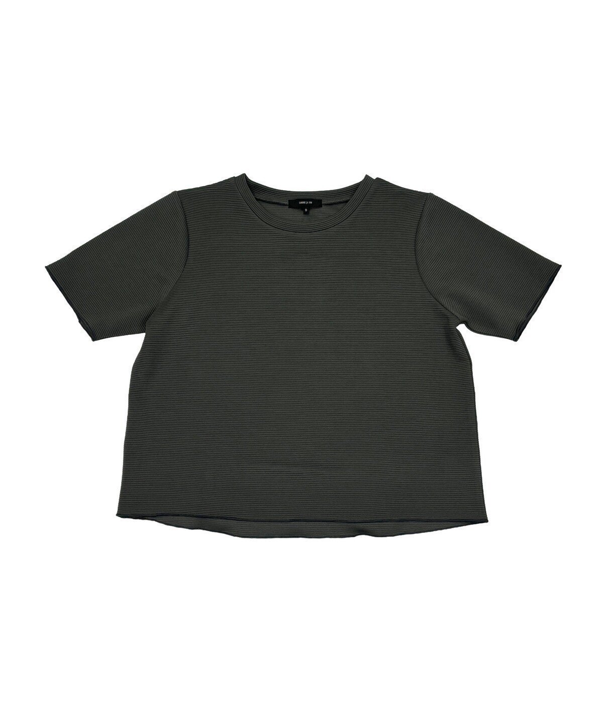 【コムサイズム/COMME CA ISM】のクルーネック ストレッチプリーツTシャツ / セットアップ対応 インテリア・キッズ・メンズ・レディースファッション・服の通販 founy(ファウニー) 　ファッション　Fashion　レディースファッション　Fashion for Women　トップス・カットソー　Cut & Sew Tops　シャツ・ブラウス・オフィスカジュアル　Elegant Blouses & Button-Ups　ロングTシャツ・Tシャツ　Longline T-Shirts & Tees　カットソー　Cut and Sewn Top　シンプル　Simple, Minimal　ストレッチ　Stretch, Stretchy Fabric　セットアップ　Set-Up, Coordinated Outfit　バランス　Balance, Style Balance　プリーツ　Pleats, Pleated　ベーシック　Basic, Essential　エレガント 上品　Elegant　チャコール|ID: prp329100004978520 ipo3291000000037309744