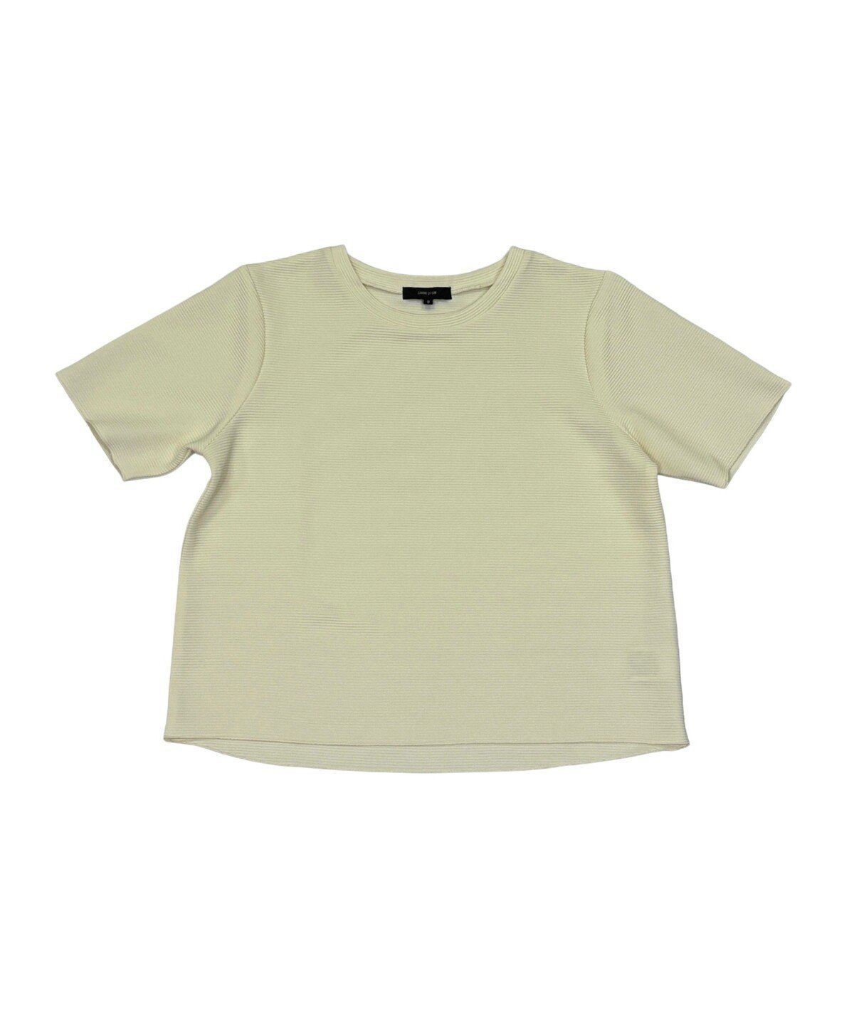 【コムサイズム/COMME CA ISM】のクルーネック ストレッチプリーツTシャツ / セットアップ対応 インテリア・キッズ・メンズ・レディースファッション・服の通販 founy(ファウニー) 　ファッション　Fashion　レディースファッション　Fashion for Women　トップス・カットソー　Cut & Sew Tops　シャツ・ブラウス・オフィスカジュアル　Elegant Blouses & Button-Ups　ロングTシャツ・Tシャツ　Longline T-Shirts & Tees　カットソー　Cut and Sewn Top　シンプル　Simple, Minimal　ストレッチ　Stretch, Stretchy Fabric　セットアップ　Set-Up, Coordinated Outfit　バランス　Balance, Style Balance　プリーツ　Pleats, Pleated　ベーシック　Basic, Essential　エレガント 上品　Elegant　アイボリー|ID: prp329100004978520 ipo3291000000037309745