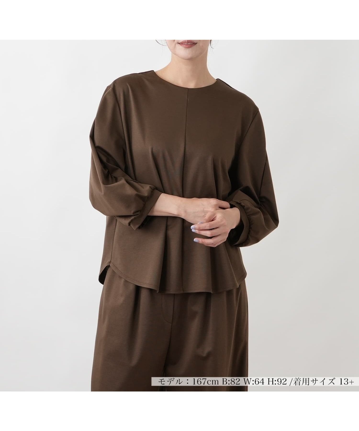 【レリアンプラスハウス/Leilian PLUS HOUSE】の袖コンシャスジャージプルオーバー【BOURGE】 インテリア・キッズ・メンズ・レディースファッション・服の通販 founy(ファウニー) 　ファッション　Fashion　レディースファッション　Fashion for Women　トップス・カットソー　Cut & Sew Tops　カジュアルプルオーバー・ニットトップス　Pullovers & Knit Tops / Casual Pullovers　ウォッシャブル　Machine Washable　春　Spring　カットソー　Cut and Sewn Top　シンプル　Simple, Minimal　フロント　Front, Front Design　ポケット　Pocket, Pocket Detail　S/S・春夏　SS, Spring/Summer, Warm Season　夏　Summer　ダークブラウン|ID: prp329100004978657 ipo3291000000037310288