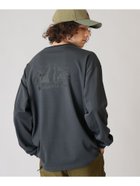 【コロンビア/Columbia】のColumbia/ ロマビスタグラフィックロングスリーブTシャツ /コロンビア 大人の最旬トレンドファッション＆コーディネート founy(ファウニー) ファッション Fashion レディースファッション Fashion for Women トップス・カットソー Cut & Sew Tops シャツ・ブラウス・オフィスカジュアル Elegant Blouses & Button-Ups ロングTシャツ・Tシャツ Longline T-Shirts & Tees アウトドア Outdoor Clothing グラフィック Graphic, Graphic Design トレンド Trend, Trending Now フィット Fit, Slim Fit リラックス Relax, Relaxed Fit ロング Long, Long-Length thumbnail ダークアッシュ[003006]|ID: prp329100004979746 ipo3291000000037314948