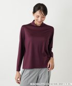 【レリアンプラスハウス/Leilian PLUS HOUSE】の【店舗人気】【ウォッシャブル】ハイネックカットソー 大人の最旬トレンドファッション＆コーディネート founy(ファウニー) ファッション Fashion レディースファッション Fashion for Women トップス・カットソー Cut & Sew Tops カットソー・ベーシックTシャツ Cut-and-Sewn Tops / Stretch Tees & Basics インナー Innerwear ウォッシャブル Machine Washable カーディガン Cardigan, Knitwear シンプル Simple, Minimal ジャケット Jacket, Outerwear ポケット Pocket, Pocket Detail 人気 Popular, Best Seller 無地 Plain, Solid Color 秋 Autumn 長袖 Long Sleeve, Full Sleeve thumbnail ボルドー|ID: prp329100004979802 ipo3291000000037315290
