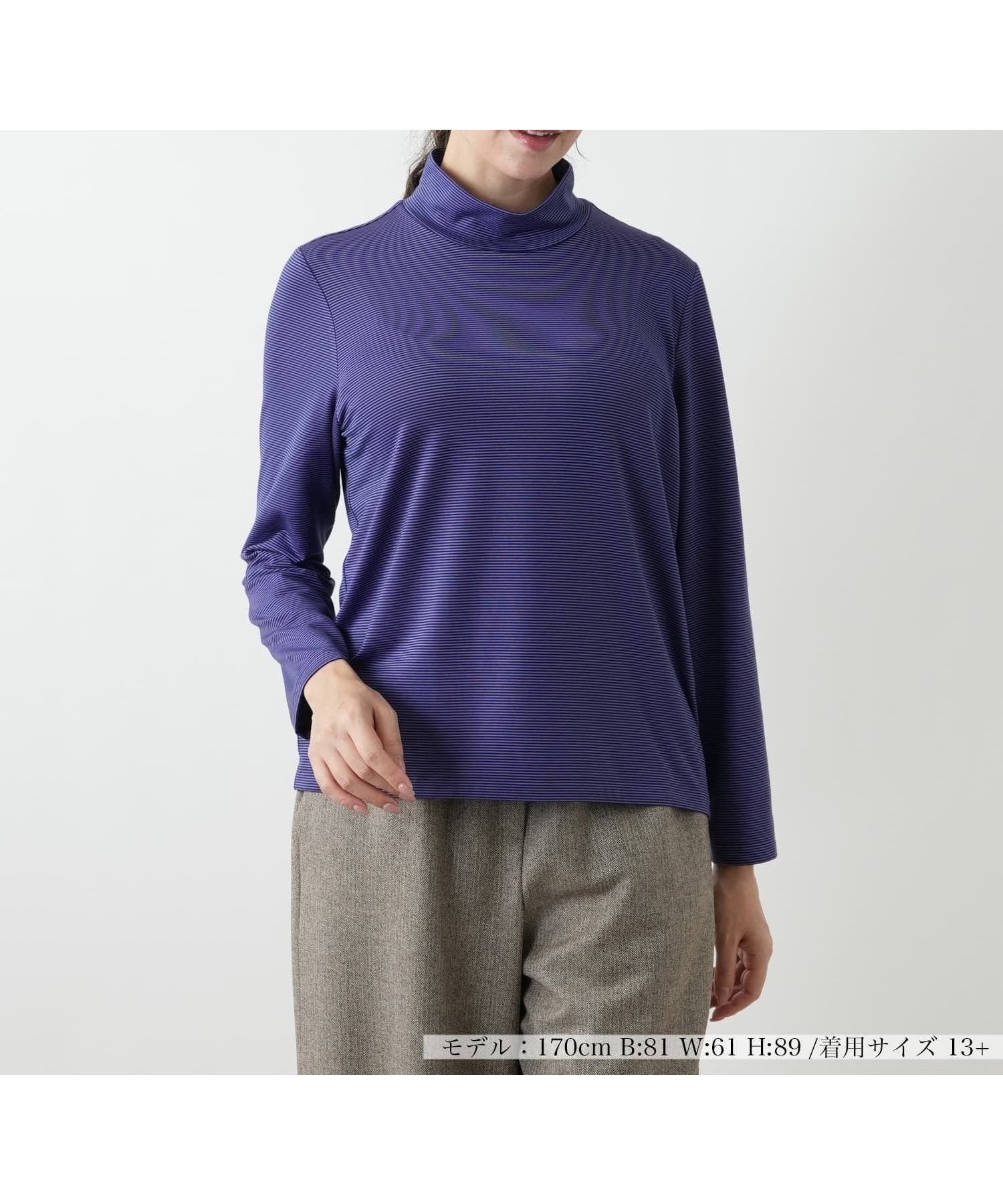 【レリアンプラスハウス/Leilian PLUS HOUSE】の【ウォッシャブル】ミジンコボーダー ハイネックカットソー インテリア・キッズ・メンズ・レディースファッション・服の通販 founy(ファウニー) 　ファッション　Fashion　レディースファッション　Fashion for Women　トップス・カットソー　Cut & Sew Tops　カットソー・ベーシックTシャツ　Cut-and-Sewn Tops / Stretch Tees & Basics　ウォッシャブル　Machine Washable　ボーダー　Border, Stripe　ポケット　Pocket, Pocket Detail　無地　Plain, Solid Color　秋　Autumn　長袖　Long Sleeve, Full Sleeve　バイオレット|ID: prp329100004979804 ipo3291000000037315306