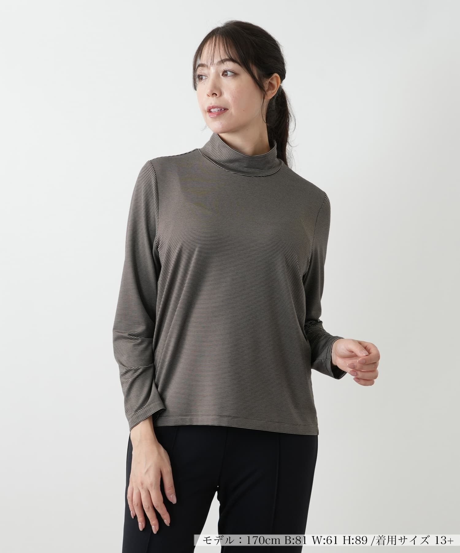 【レリアンプラスハウス/Leilian PLUS HOUSE】の【ウォッシャブル】ミジンコボーダー ハイネックカットソー インテリア・キッズ・メンズ・レディースファッション・服の通販 founy(ファウニー) 　ファッション　Fashion　レディースファッション　Fashion for Women　トップス・カットソー　Cut & Sew Tops　カットソー・ベーシックTシャツ　Cut-and-Sewn Tops / Stretch Tees & Basics　ウォッシャブル　Machine Washable　ボーダー　Border, Stripe　ポケット　Pocket, Pocket Detail　無地　Plain, Solid Color　秋　Autumn　長袖　Long Sleeve, Full Sleeve　ベージュ|ID: prp329100004979804 ipo3291000000037315307