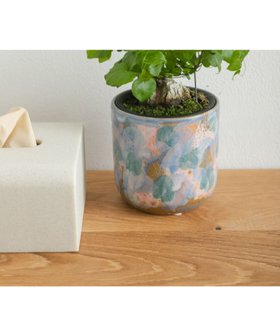 【アーバンリサーチ ドアーズ/URBAN RESEARCH DOORS】のInter Plants Net パレット 10.5 大人の最旬トレンドファッション＆コーディネート founy(ファウニー) ファッション Fashion レディースファッション Fashion for Women デスク Desk, Work Desk ランダム Random, Irregular |ID:prp329100004980938