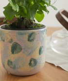 【アーバンリサーチ ドアーズ/URBAN RESEARCH DOORS】のInter Plants Net パレット 10.5 大人の最旬トレンドファッション＆コーディネート founy(ファウニー) ファッション Fashion レディースファッション Fashion for Women デスク Desk, Work Desk ランダム Random, Irregular thumbnail イエロー系その他|ID: prp329100004980938 ipo3291000000037319933
