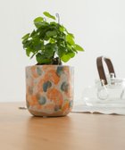 【アーバンリサーチ ドアーズ/URBAN RESEARCH DOORS】のInter Plants Net パレット 10.5 大人の最旬トレンドファッション＆コーディネート founy(ファウニー) ファッション Fashion レディースファッション Fashion for Women デスク Desk, Work Desk ランダム Random, Irregular thumbnail オレンジ|ID: prp329100004980938 ipo3291000000037319934