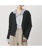 【ビューティ&ユース ユナイテッドアローズ/BEAUTY&YOUTH / UNITED ARROWS】のストライプ ラッフル スキッパーブラウス ウォッシャブル LT.BLUE|ID: prp329100004981342 ipo3291000000037321808
