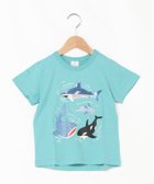 【シ シュ ノン/Si Shu Non / KIDS】のSKAPE/サメスパンコールTシャツ 大人の最旬トレンドファッション＆コーディネート founy(ファウニー) ファッション Fashion キッズファッション Fashion for Kids スパンコール Sequins, Sequin Embellishment thumbnail グリーン|ID: prp329100004982771 ipo3291000000037327994