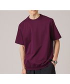 【タケオキクチ/TAKEO KIKUCHI / MEN】の【抗菌防臭/5サイズ展開】ハイゲージポンチ Tシャツ 大人の最旬トレンドファッション＆コーディネート founy(ファウニー) ファッション Fashion メンズファッション Fashion for Men カットソー Cut and Sewn Top 抗菌 Antibacterial, Bacteria-Resistant シルケット Silket, Silky Cotton シンプル Simple, Minimal スマート Smart, Elegant フィット Fit, Slim Fit ベーシック Basic, Essential リラックス Relax, Relaxed Fit おすすめ Recommended / Our Picks 夏 Summer エレガント 上品 Elegant thumbnail ボルドー|ID: prp329100004983092 ipo3291000000037330184