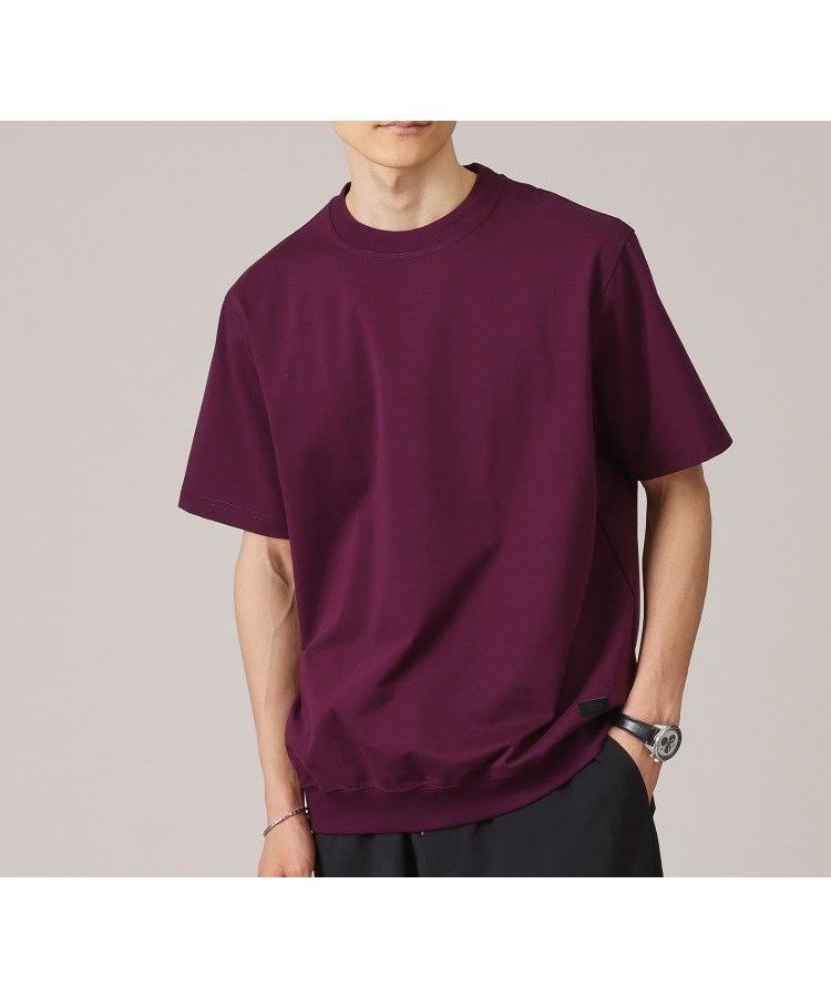 【タケオキクチ/TAKEO KIKUCHI / MEN】の【抗菌防臭/5サイズ展開】ハイゲージポンチ Tシャツ インテリア・キッズ・メンズ・レディースファッション・服の通販 founy(ファウニー) 　ファッション　Fashion　メンズファッション　Fashion for Men　カットソー　Cut and Sewn Top　抗菌　Antibacterial, Bacteria-Resistant　シルケット　Silket, Silky Cotton　シンプル　Simple, Minimal　スマート　Smart, Elegant　フィット　Fit, Slim Fit　ベーシック　Basic, Essential　リラックス　Relax, Relaxed Fit　おすすめ　Recommended / Our Picks　夏　Summer　エレガント 上品　Elegant　ボルドー|ID: prp329100004983092 ipo3291000000037330184