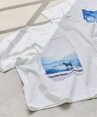 【スピック&スパン/Spick & Span】のOFF SESSION / オフ セッション PHOTO Tee 大人の最旬トレンドファッション＆コーディネート founy(ファウニー) ファッション Fashion レディースファッション Fashion for Women プリント Print, Printed Pattern 犬 Dog thumbnail ホワイト C|ID: prp329100004983365 ipo3291000000037331717
