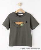 【デッサン/Dessin / KIDS】の【小学館の図鑑NEO コラボ】恐竜Tシャツ チャコールグレー|ID: prp329100004983755 ipo3291000000037333993