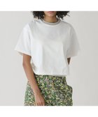 【ビショップ/Bshop】のマーセライズ クルーネック 半袖プルオーバー WOMEN 大人の最旬トレンドファッション＆コーディネート founy(ファウニー) ファッション Fashion レディースファッション Fashion for Women トップス・カットソー Cut & Sew Tops カジュアルプルオーバー・ニットトップス Pullovers & Knit Tops / Casual Pullovers カットソー Cut and Sewn Top ショルダー Shoulder, Shoulder Strap ショート Short, Short Length ドロップ Drop Shoulder, Dropped Style フランス France, French ボーダー Border, Stripe ワイド Wide, Wide Fit 半袖 Short Sleeve, Half Sleeve thumbnail WHITE|ID: prp329100004984154 ipo3291000000037337337