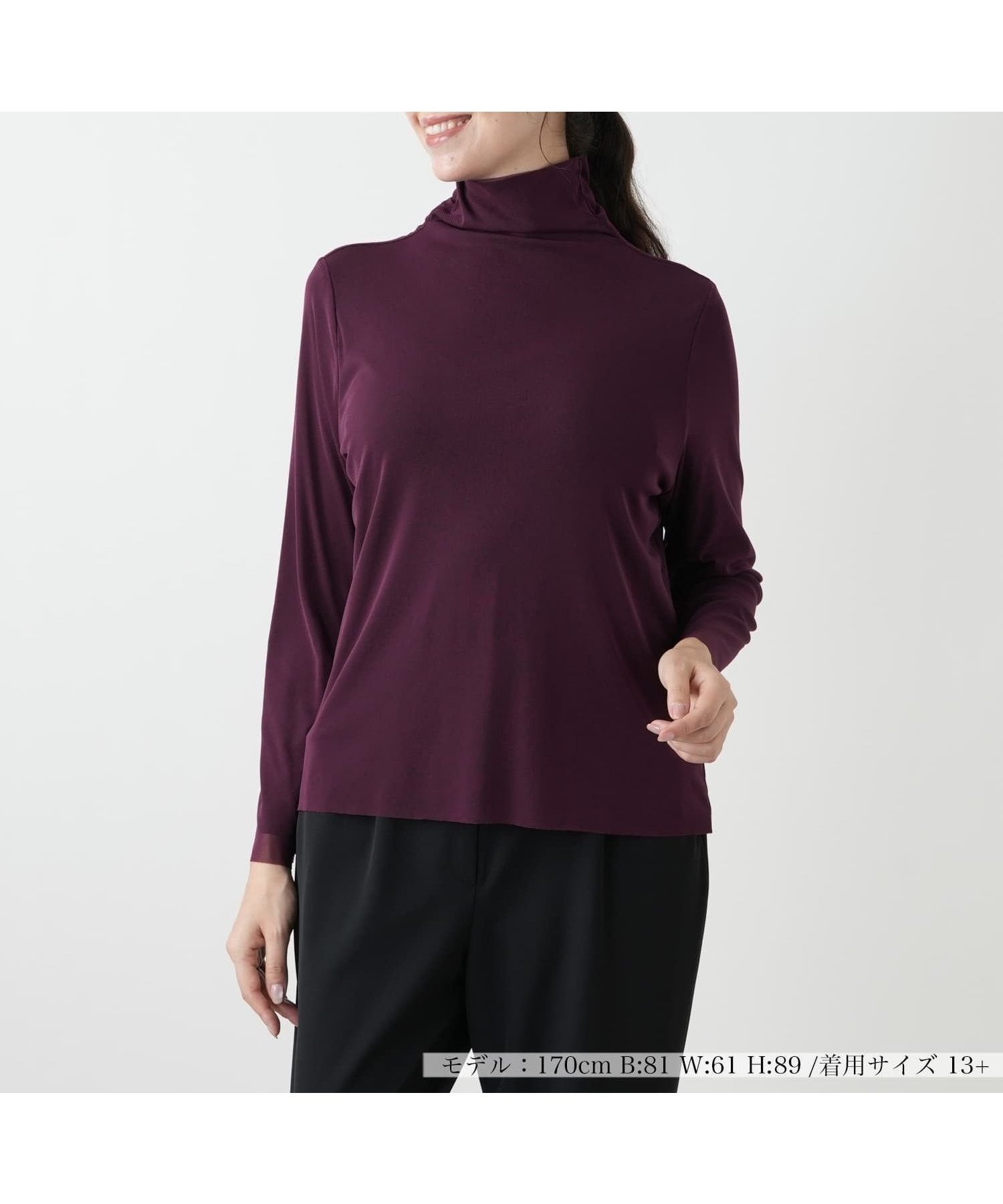【レリアンプラスハウス/Leilian PLUS HOUSE】のハイネックカットソー インテリア・キッズ・メンズ・レディースファッション・服の通販 founy(ファウニー) 　ファッション　Fashion　レディースファッション　Fashion for Women　トップス・カットソー　Cut & Sew Tops　カットソー・ベーシックTシャツ　Cut-and-Sewn Tops / Stretch Tees & Basics　インナー　Innerwear　ウォッシャブル　Machine Washable　カットソー　Cut and Sewn Top　シンプル　Simple, Minimal　ジャケット　Jacket, Outerwear　チュール　Tulip, Tulip Motif　フェミニン　Feminine, Girly　ポケット　Pocket, Pocket Detail　エレガント 上品　Elegant　秋　Autumn　ボルドー系|ID: prp329100004985504 ipo3291000000037345125