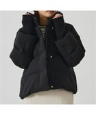 【アバハウスマヴィ/abahouse mavie】の【WEB Domani掲載】袖リブシームレススタンドダウン/ロングセラー/定番/ 大人の最旬トレンドファッション＆コーディネート founy(ファウニー) ファッション Fashion レディースファッション Fashion for Women トップス・カットソー Cut & Sew Tops おすすめ Recommended / Our Picks インナー Innerwear コンパクト Compact, Small Size スタンド Stand Collar, Upright Stand ストレート Straight, Straight Cut ダウン Down, Puffer エレガント 上品 Elegant 人気 Popular, Best Seller 定番 Standard, Basic Item ビジネス 仕事 通勤 Business / Work / Commuting 防寒 Cold Protection, Winter-Ready 雑誌 Magazine, Fashion Magazine thumbnail ブラック|ID: prp329100004986154 ipo3291000000037348707