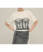 【ジーナシス/JEANASiS】のBustier Print TEE 大人の最旬トレンドファッション＆コーディネート founy(ファウニー) ファッション Fashion レディースファッション Fashion for Women トップス・カットソー Cut & Sew Tops ビスチェ Bustiers & Corset Tops / Layered Bustier Style おすすめ Recommended / Our Picks コルセット Corset, Bustier デニム Denim, Jeans Material トレンド Trend, Trending Now プリント Print, Printed Pattern ランジェリー Lingerie, Intimate Wear レース Lace, Lace Fabric ワイド Wide, Wide Fit 今季 This Season, Current Season thumbnail ホワイト系その他|ID: prp329100004986632 ipo3291000000037351962
