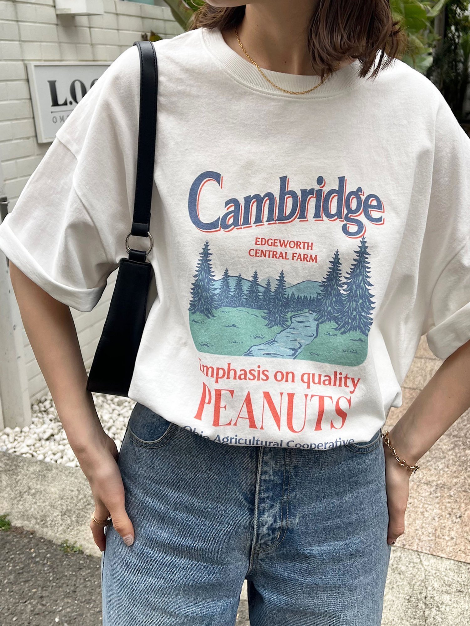 【ディスコート/Discoat】の【WEB限定】CamBridgeスーベニアビッグTシャツ《ユニセックス》 インテリア・キッズ・メンズ・レディースファッション・服の通販 founy(ファウニー) 　ファッション　Fashion　レディースファッション　Fashion for Women　トップス・カットソー　Cut & Sew Tops　シャツ・ブラウス・オフィスカジュアル　Elegant Blouses & Button-Ups　ロングTシャツ・Tシャツ　Longline T-Shirts & Tees　おすすめ　Recommended / Our Picks　トレンド　Trend, Trending Now　ビッグ　Big, Oversized　プリント　Print, Printed Pattern　ホワイト|ID: prp329100004987776 ipo3291000000037364851