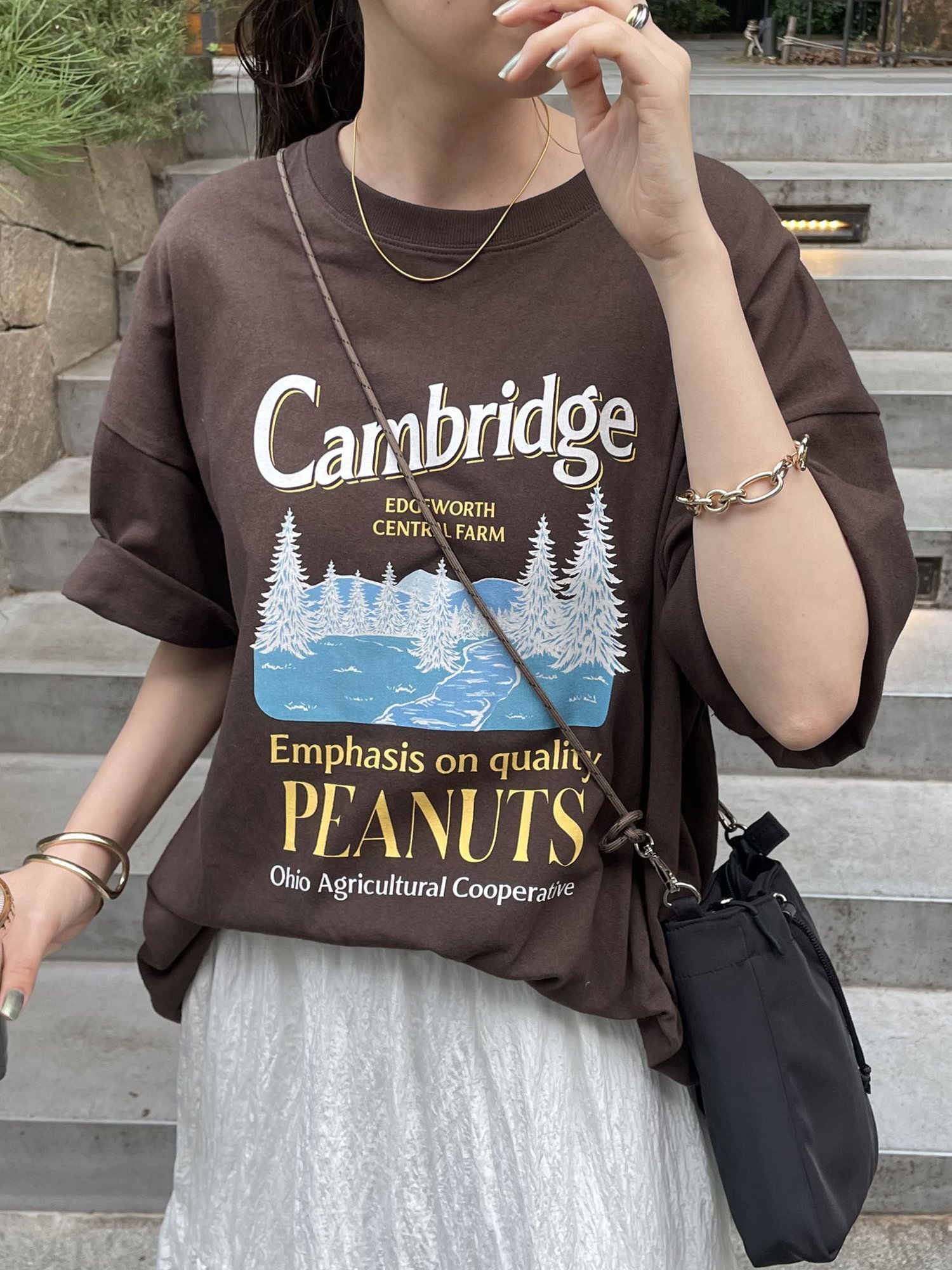 【ディスコート/Discoat】の【WEB限定】CamBridgeスーベニアビッグTシャツ《ユニセックス》 インテリア・キッズ・メンズ・レディースファッション・服の通販 founy(ファウニー) 　ファッション　Fashion　レディースファッション　Fashion for Women　トップス・カットソー　Cut & Sew Tops　シャツ・ブラウス・オフィスカジュアル　Elegant Blouses & Button-Ups　ロングTシャツ・Tシャツ　Longline T-Shirts & Tees　おすすめ　Recommended / Our Picks　トレンド　Trend, Trending Now　ビッグ　Big, Oversized　プリント　Print, Printed Pattern　ブラウン|ID: prp329100004987776 ipo3291000000037364852