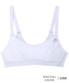 【ワコール/WACOAL / KIDS】のワコール ジュニア ジュニアノンワイヤーブラ ハーフトップ やわらかな肌ざわり 大人の最旬トレンドファッション＆コーディネート founy(ファウニー) ファッション Fashion キッズファッション Fashion for Kids ドット Polka Dot, Dot Pattern なめらか Smooth, Silky Texture ハーフ Half, Half-Length フィット Fit, Slim Fit ブラジャー Bra, Lingerie メッシュ Mesh, Net Fabric モチーフ Motif, Design Theme ラップ Wrap, Wrap Design ワイヤー Wire, Wired Bra おすすめ Recommended / Our Picks thumbnail PU|ID: prp329100004990385 ipo3291000000037378916