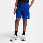 【ニューバランス/new balance / KIDS】の大谷翔平 ジュニアグラフィックフレンチテリーショーツ Always on Logo TRYチームロイヤル|ID: prp329100004991977 ipo3291000000037385213