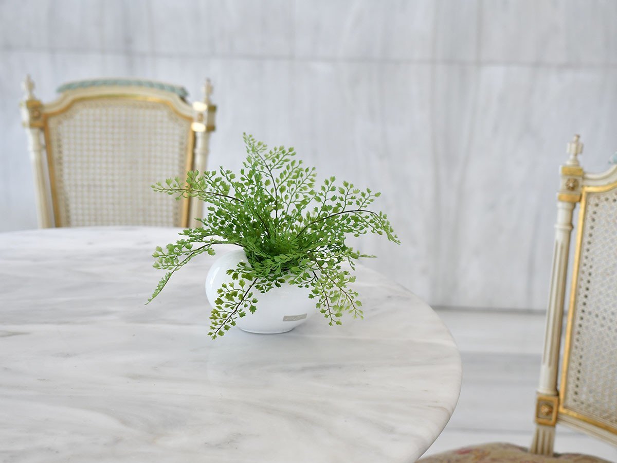 【エミリオロバ/EMILIO ROBBA】のADIANTUM / アジアンタム 人気、トレンドファッション・服の通販 founy(ファニー) コレクション Collection, Seasonal Line ホーム・キャンプ・アウトドア・お取り寄せ Home Living / Home & Lifestyle / Camping Gear / Outdoor Camping 家具・インテリア Home Furniture & Interior. Stylish & Functional Living Spaces その他 インテリア雑貨、家具 Home Decor & Furniture Extras other-3|ID: prp329100000000629 ipo3291000000031496606