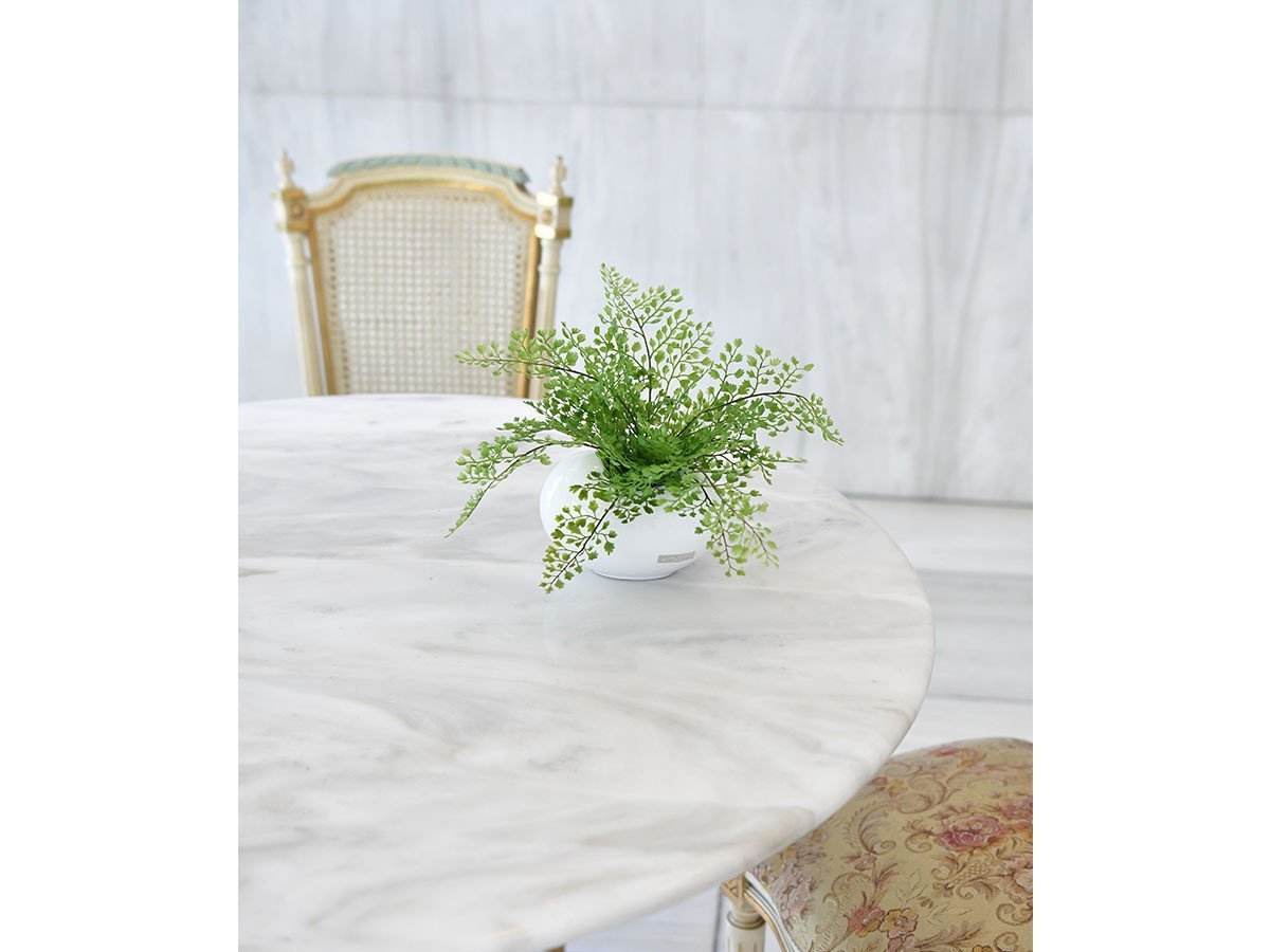 【エミリオロバ/EMILIO ROBBA】のADIANTUM / アジアンタム 人気、トレンドファッション・服の通販 founy(ファニー) コレクション Collection, Seasonal Line ホーム・キャンプ・アウトドア・お取り寄せ Home Living / Home & Lifestyle / Camping Gear / Outdoor Camping 家具・インテリア Home Furniture & Interior. Stylish & Functional Living Spaces その他 インテリア雑貨、家具 Home Decor & Furniture Extras other-4|ID: prp329100000000629 ipo3291000000031496607