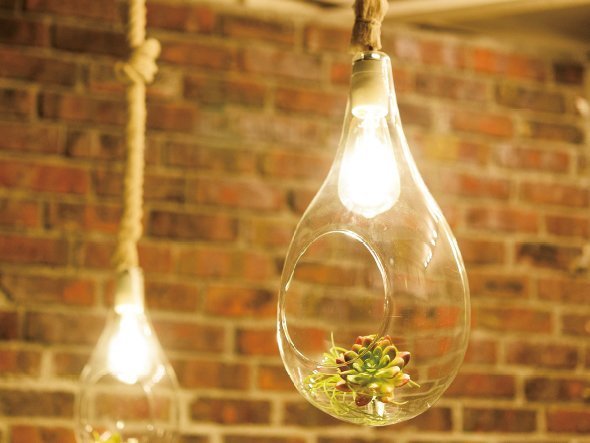 【フライミーパーラー/FLYMEe Parlor / GOODS】のBOTANIC Hanging light / ボタニック ハンギングライト M インテリア・キッズ・メンズ・レディースファッション・服の通販 founy(ファニー) 　送料無料　Free Shipping　ホーム・キャンプ・アウトドア・お取り寄せ　Home,Garden,Outdoor,Camping Gear　家具・インテリア　Furniture　ライト・照明　Lighting & Light Fixtures　ペンダントライト　Pendant Light　中にエアプランツや造花、小さなオブジェなどを入れて自分だけの照明をつくることができます。|ID: prp329100000000884 ipo3291000000025328816