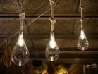 【フライミーパーラー/FLYMEe Parlor / GOODS】のBOTANIC Hanging light / ボタニック ハンギングライト M 中央:本商品|ID: prp329100000000884 ipo3291000000030254638