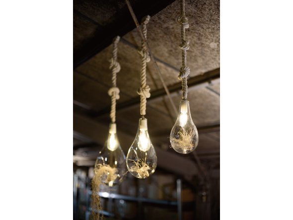 【フライミーパーラー/FLYMEe Parlor / GOODS】のBOTANIC Hanging light / ボタニック ハンギングライト M 人気、トレンドファッション・服の通販 founy(ファニー) 　送料無料　Free Shipping　ホーム・キャンプ・アウトドア・お取り寄せ　Home Living / Home & Lifestyle / Camping Gear / Outdoor Camping　家具・インテリア　Home Furniture & Interior. Stylish & Functional Living Spaces　ライト・照明　Lamps & Lighting Fixtures　ペンダントライト・吊り下げ照明　Pendant Light / Hanging Light Fixture　other-6|ID: prp329100000000884 ipo3291000000031492066
