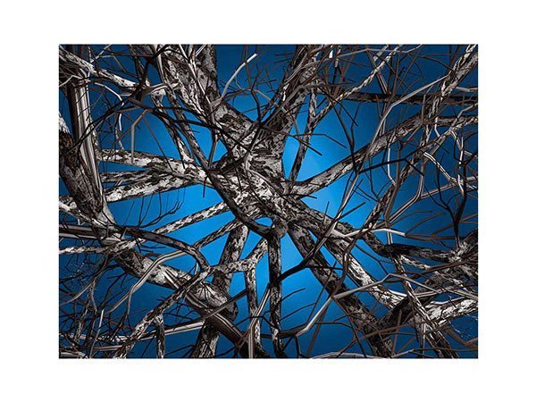 【モーイ/moooi / GOODS】のLiquid Birch / リキッドバーチ インテリア・キッズ・メンズ・レディースファッション・服の通販 founy(ファニー) https://founy.com/ 送料無料 Free Shipping コレクション Collection ホーム・キャンプ・アウトドア・お取り寄せ Home,Garden,Outdoor,Camping Gear 家具・インテリア Furniture その他 インテリア雑貨、家具 Furniture, Interior, Others |ID: prp329100000000908 ipo3291000000030221410
